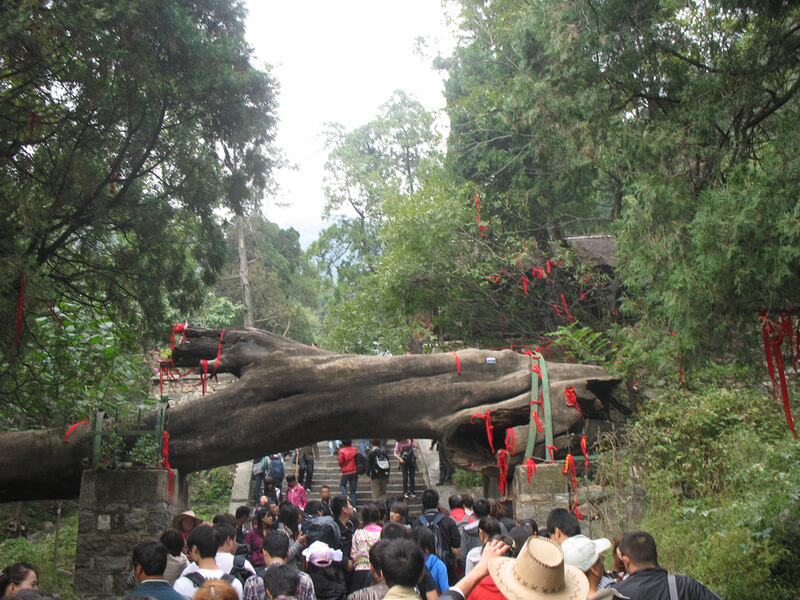 巴巴变免费相册