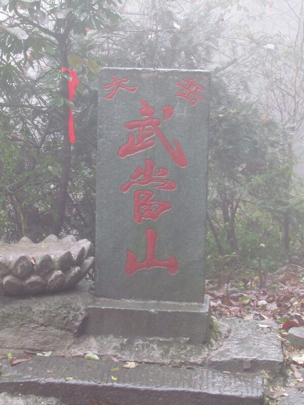 巴巴变免费相册
