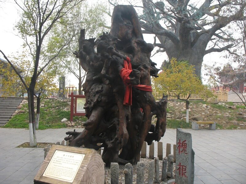 巴巴变免费相册