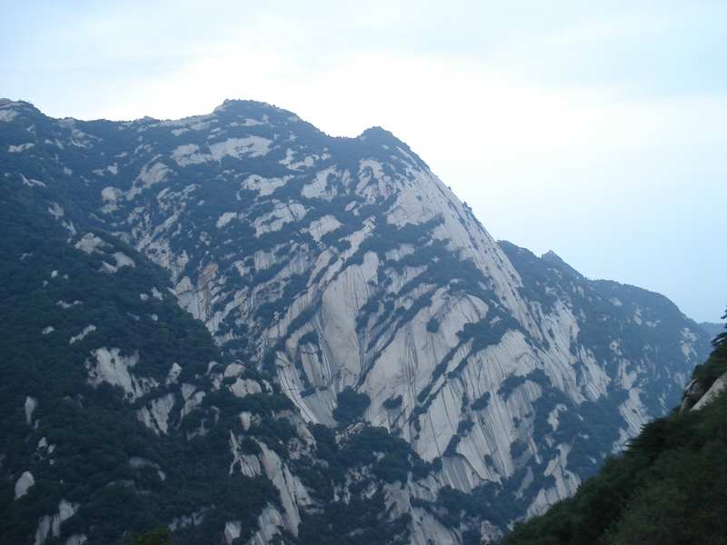DSC02000